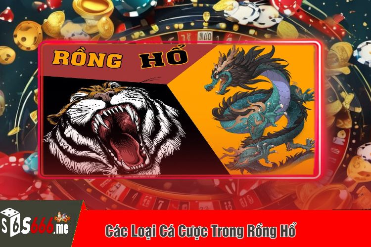 Các Loại Cá Cược Trong Rồng Hổ