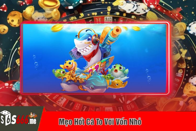 Mẹo Hốt Cá To Với Vốn Nhỏ